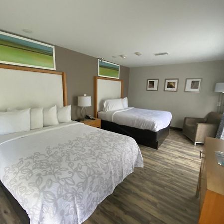 Red Roof Inn Plus & Suites Tampa Ngoại thất bức ảnh